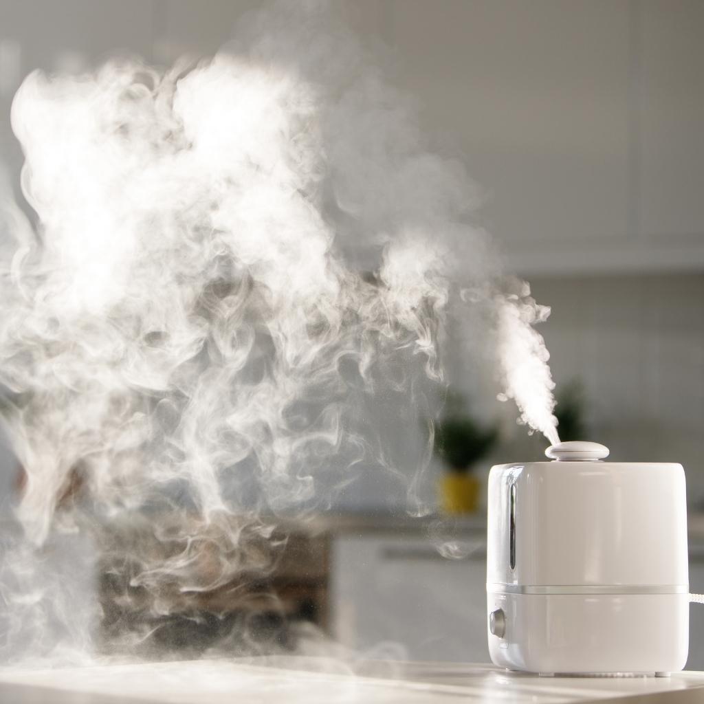 Diffusore per igienizzare gli ambienti con Ecasan
