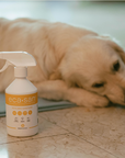 ECASAN PETS DEO SANITIZER