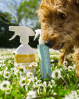 ECASAN PETS DEO SANITIZER